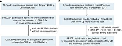 The prevalence of MAFLD and its association with atrial fibrillation in a nationwide health check-up population in China